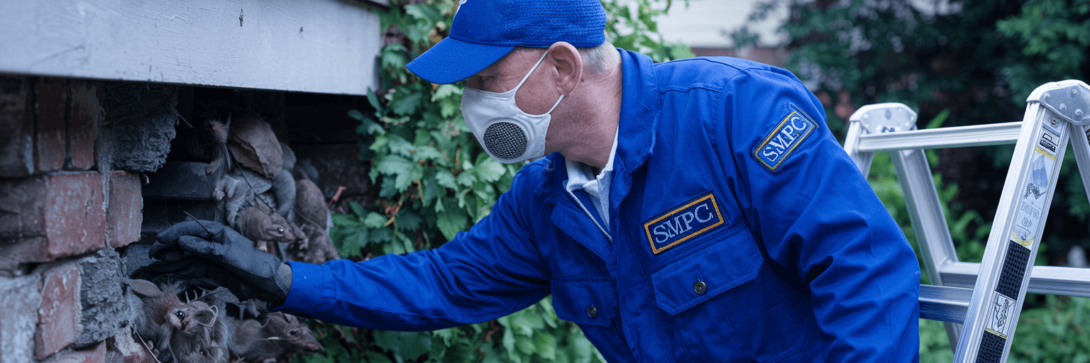 pest-control-worker-maintenance-package Signal Pest Control Maintenance Packages