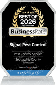 blcrystal Signal Pest Award