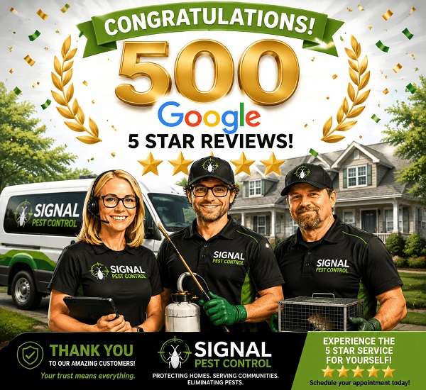 500 Google Reviews